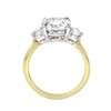 Three Stone Cushion and Round Cut Diamond Engagement Ring-Engagement Ring-Ashley Schenkein Jewelry Design