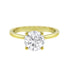 Round Brilliant-Cut Diamond Solitaire Tulip Basket Engagement Ring Setting-Engagement Ring-Ashley Schenkein Jewelry Design