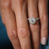 Round Micro Pavé Diamond Engagement Ring Setting-Wedding Band-Ashley Schenkein Jewelry Design