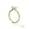 Solitaire Pavé Band Engagement Ring-engagement ring-Ashley Schenkein Jewelry Design