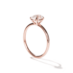 Solitaire Engagement Ring-Engagement Ring-Ashley Schenkein Jewelry Design