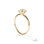 Solitaire Engagement Ring-Engagement Ring-Ashley Schenkein Jewelry Design