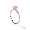 Solitaire Pavé Band Engagement Ring-engagement ring-Ashley Schenkein Jewelry Design