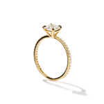 Solitaire Pavé Band Engagement Ring-engagement ring-Ashley Schenkein Jewelry Design