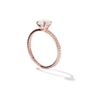 Solitaire Pavé Band Engagement Ring-engagement ring-Ashley Schenkein Jewelry Design