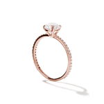 Solitaire Pavé Band Engagement Ring-engagement ring-Ashley Schenkein Jewelry Design