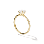 Solitaire Pavé Band Engagement Ring-engagement ring-Ashley Schenkein Jewelry Design