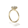 Pavé Diamond Halo Engagment Ring Setting-engagement ring-Ashley Schenkein Jewelry Design
