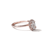 Pavé Diamond Halo Engagment Ring Setting-engagement ring-Ashley Schenkein Jewelry Design