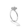 Pavé Diamond Halo Engagment Ring Setting-engagement ring-Ashley Schenkein Jewelry Design